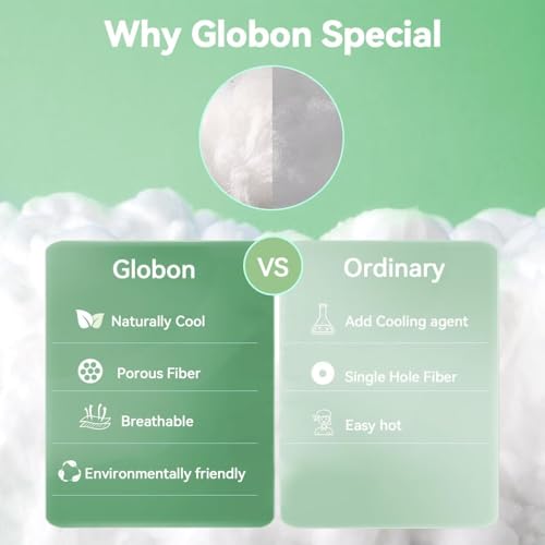 41z7008q1tl.jpg Globon Summer Comforter Oversized King Size for Hot Sleepers White