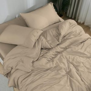 Bamboo Derived 100% Viscose DOZ Sheet Set, Buttery Soft, Cooling Sheets, High GSM, Deep Pockets - Queen Size - 4 Piece S