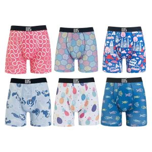 Warriors & Scholars Mens Boxer Briefs for Men Pack of 6 | Warrior & Scholar Mens Boxer Briefs Underwear | Warriors & Sc