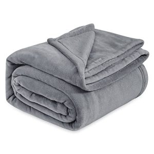 Bedsure Soft Grey Queen Size Microfiber Bed Blanket - Cozy Lightweight Plush Fuzzy Luxury Sleep Blanket, 90x90 Inches